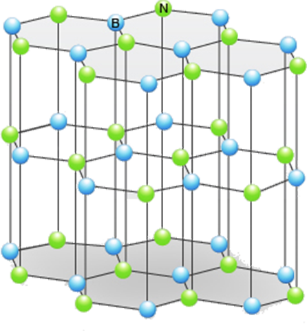 Explore the Science of BN